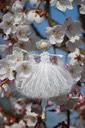 white blossom 2
