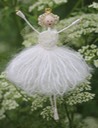 white rose fairy taunton